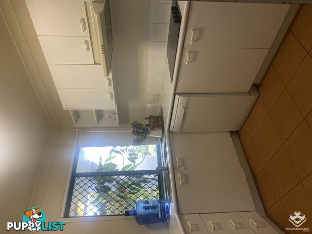 ID:21159092 91 Heeb Street Ashmore QLD 4214