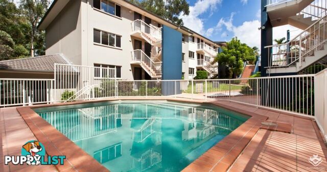 131 Currumburra Road Ashmore QLD 4214