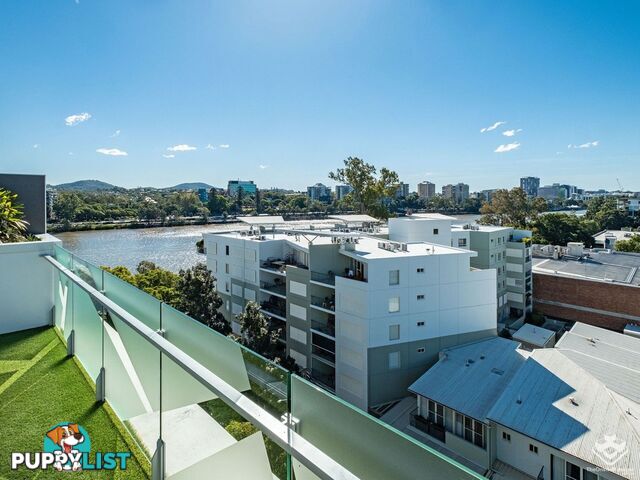 ID:21144942/15 Duncan Street West End QLD 4101