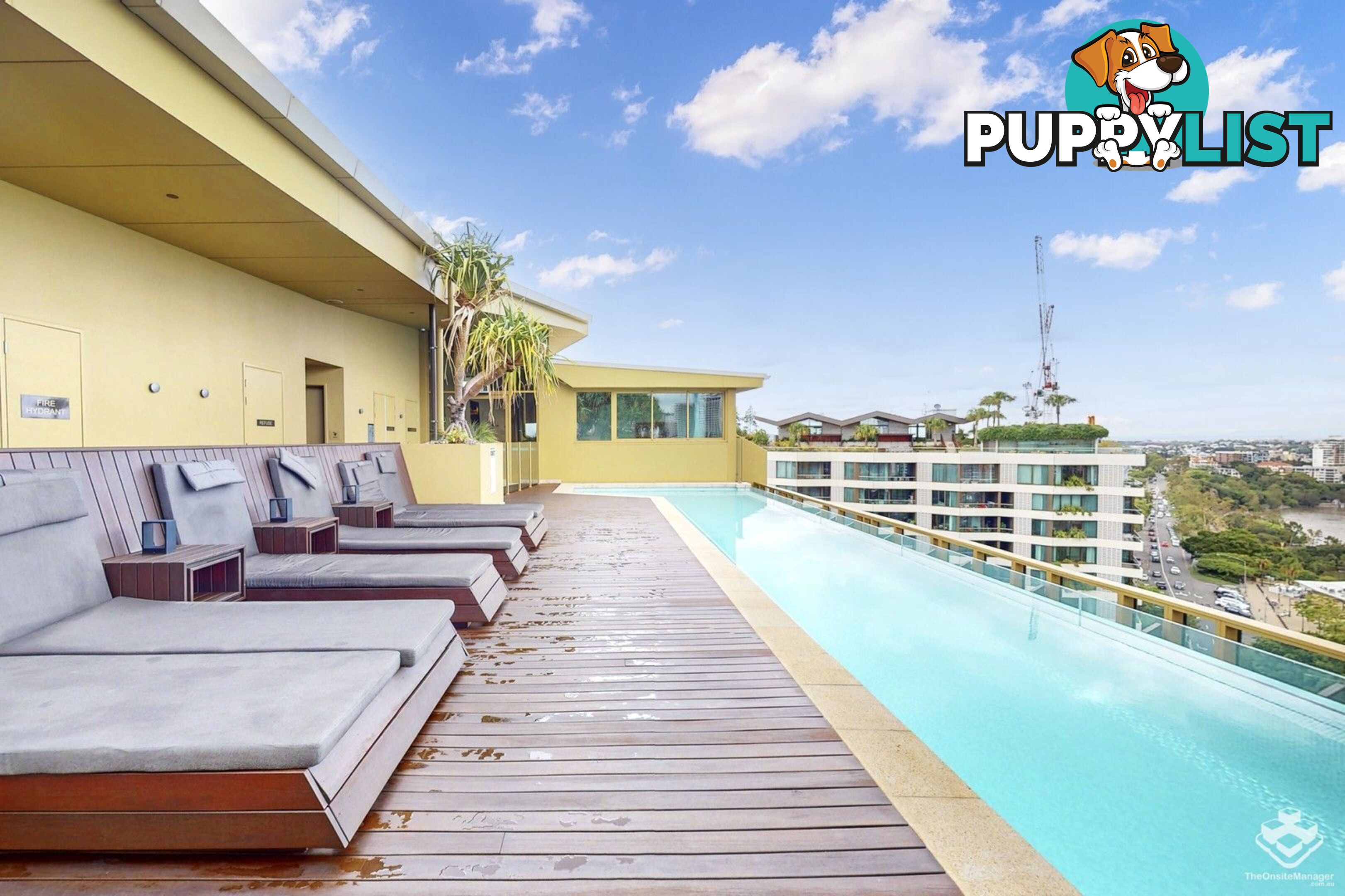 ID:21157407 25 Shafston Avenue Kangaroo Point QLD 4169
