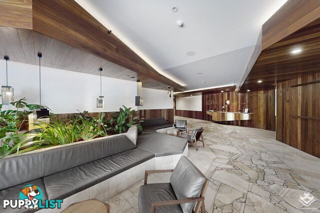 ID:21157407 25 Shafston Avenue Kangaroo Point QLD 4169