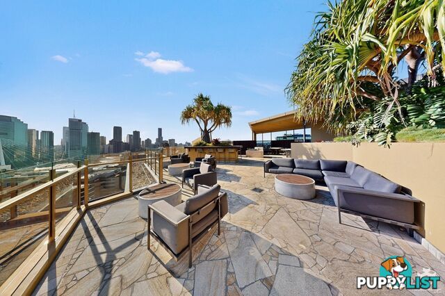 ID:21157407 25 Shafston Avenue Kangaroo Point QLD 4169