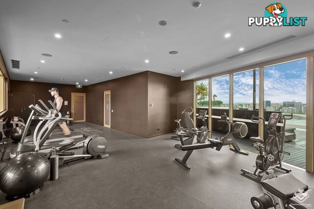ID:21157407 25 Shafston Avenue Kangaroo Point QLD 4169