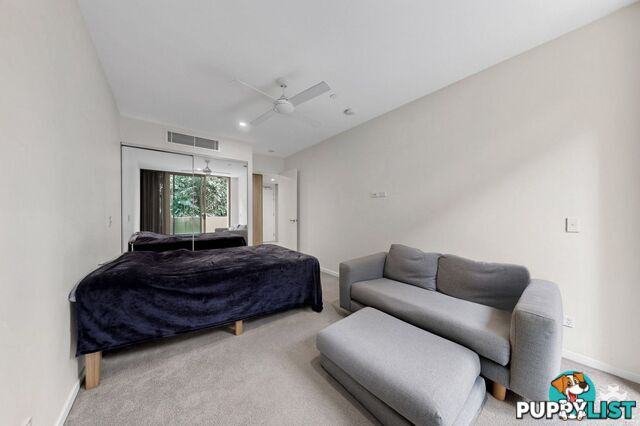 ID:21157407 25 Shafston Avenue Kangaroo Point QLD 4169