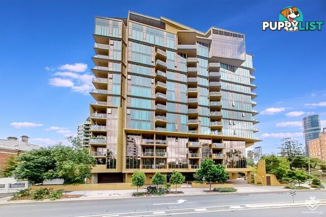 ID:21157407 25 Shafston Avenue Kangaroo Point QLD 4169
