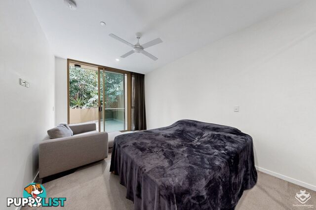 ID:21157407 25 Shafston Avenue Kangaroo Point QLD 4169