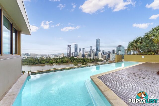 ID:21157407 25 Shafston Avenue Kangaroo Point QLD 4169
