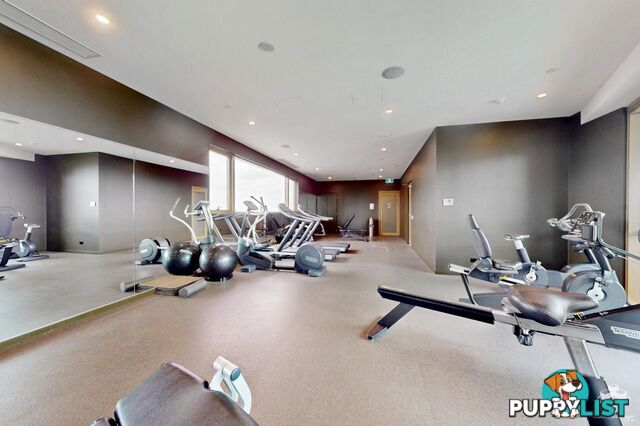 ID:21157407 25 Shafston Avenue Kangaroo Point QLD 4169