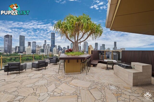 ID:21157407 25 Shafston Avenue Kangaroo Point QLD 4169