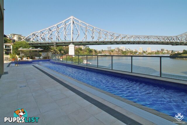 ID:21154327 82 Boundary Street Brisbane City QLD 4000