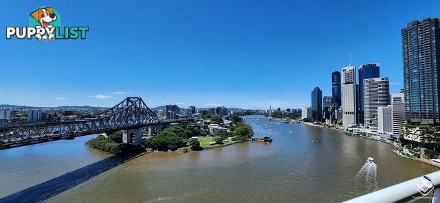 ID:21154327 82 Boundary Street Brisbane City QLD 4000