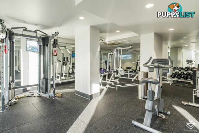 ID:21154327 82 Boundary Street Brisbane City QLD 4000