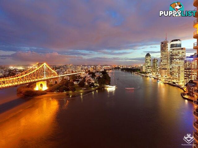 ID:21154327 82 Boundary Street Brisbane City QLD 4000