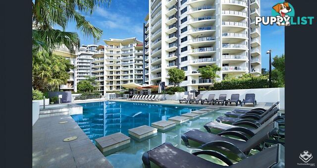 ID:21154166 21-31 Cypress Avenue Surfers Paradise QLD 4217