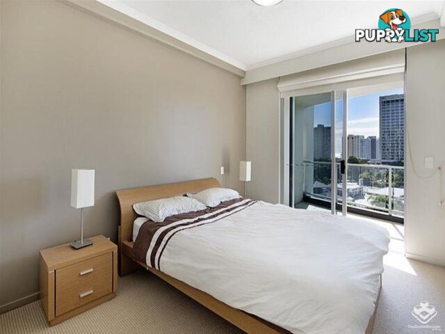 ID:21154166 21-31 Cypress Avenue Surfers Paradise QLD 4217