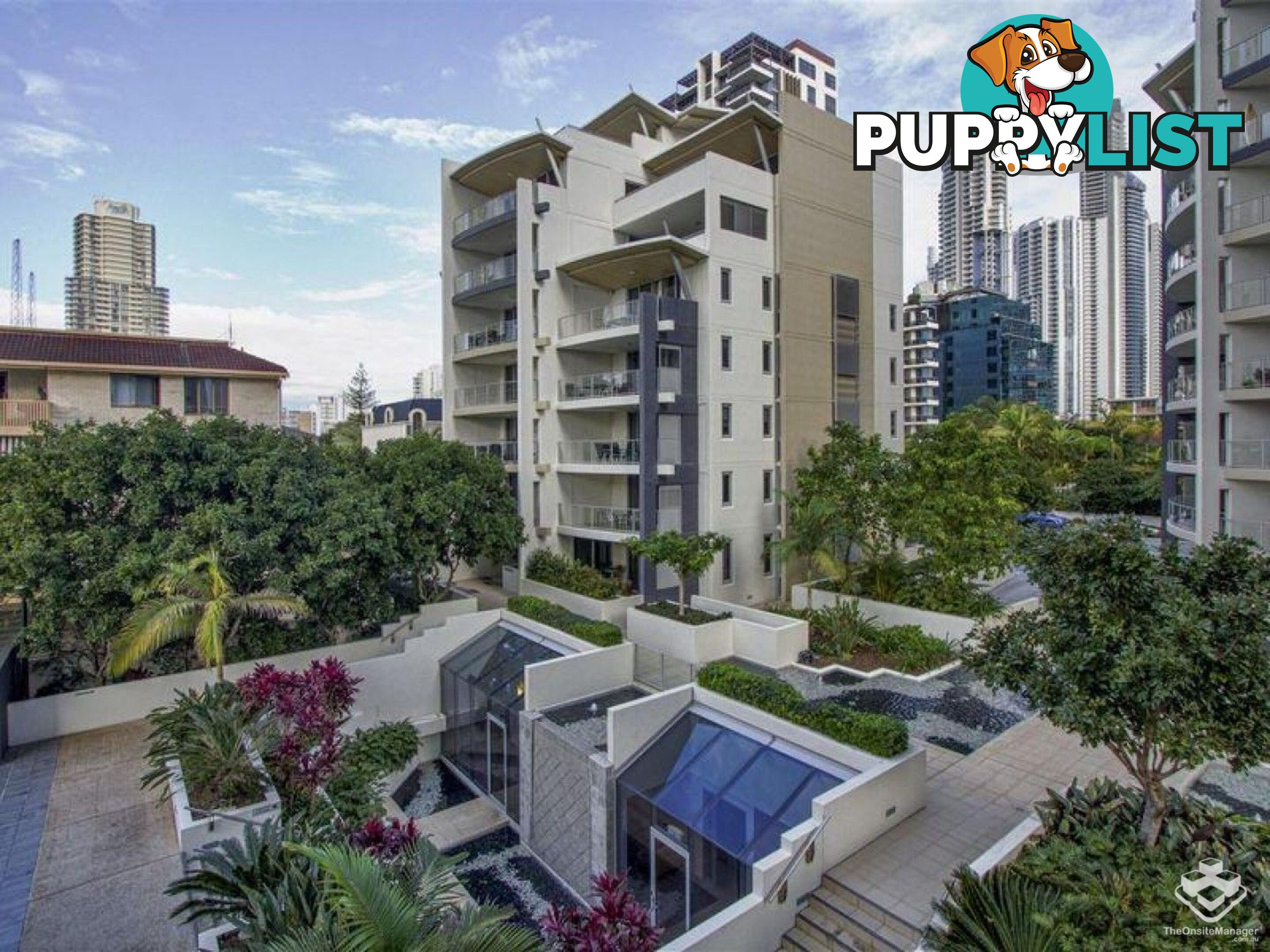 ID:21154166 21-31 Cypress Avenue Surfers Paradise QLD 4217