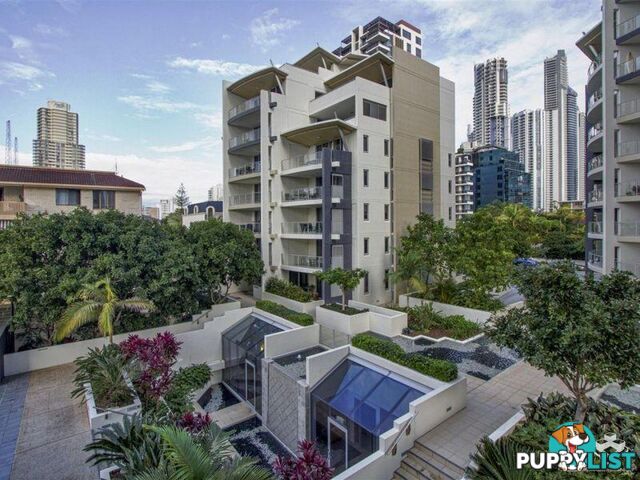 ID:21154166 21-31 Cypress Avenue Surfers Paradise QLD 4217