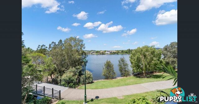 ID:21150453 33 Lakefront Crescent Varsity Lakes QLD 4227