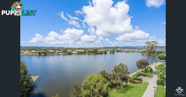ID:21150453 33 Lakefront Crescent Varsity Lakes QLD 4227