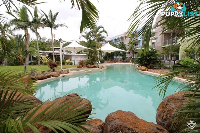 ID:21076493 65 Manooka Drive Cannonvale QLD 4802
