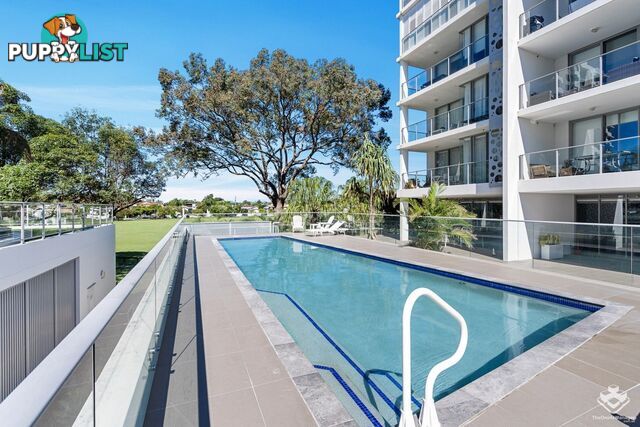 ID:21152545 17 Bath Street Labrador QLD 4215