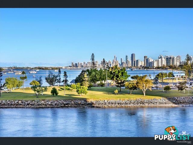 ID:21072502 17 Bayview Street Runaway Bay QLD 4216