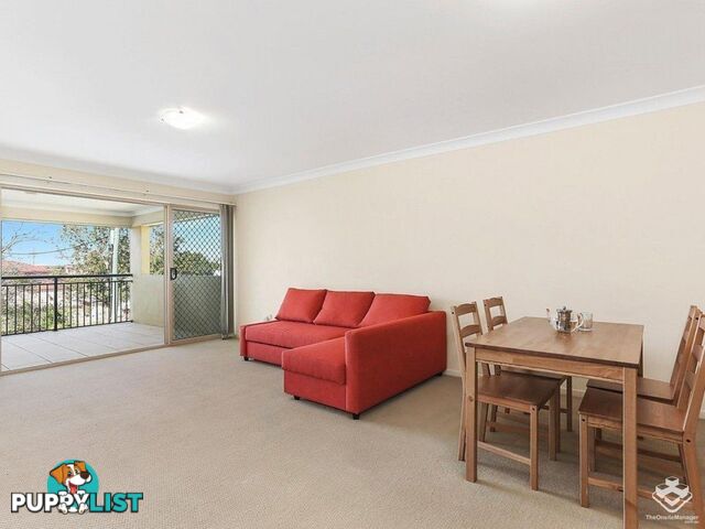 ID:21154130 8 Mascar Street Upper Mount Gravatt QLD 4122