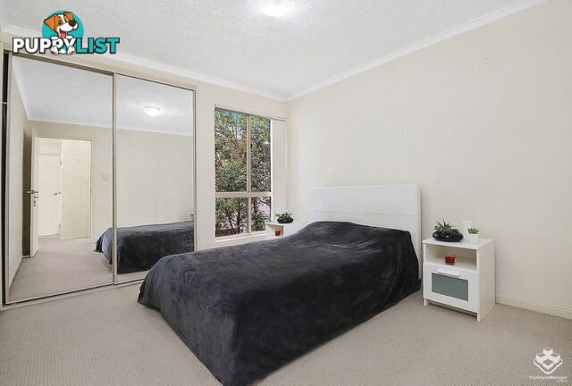 ID:21154130 8 Mascar Street Upper Mount Gravatt QLD 4122