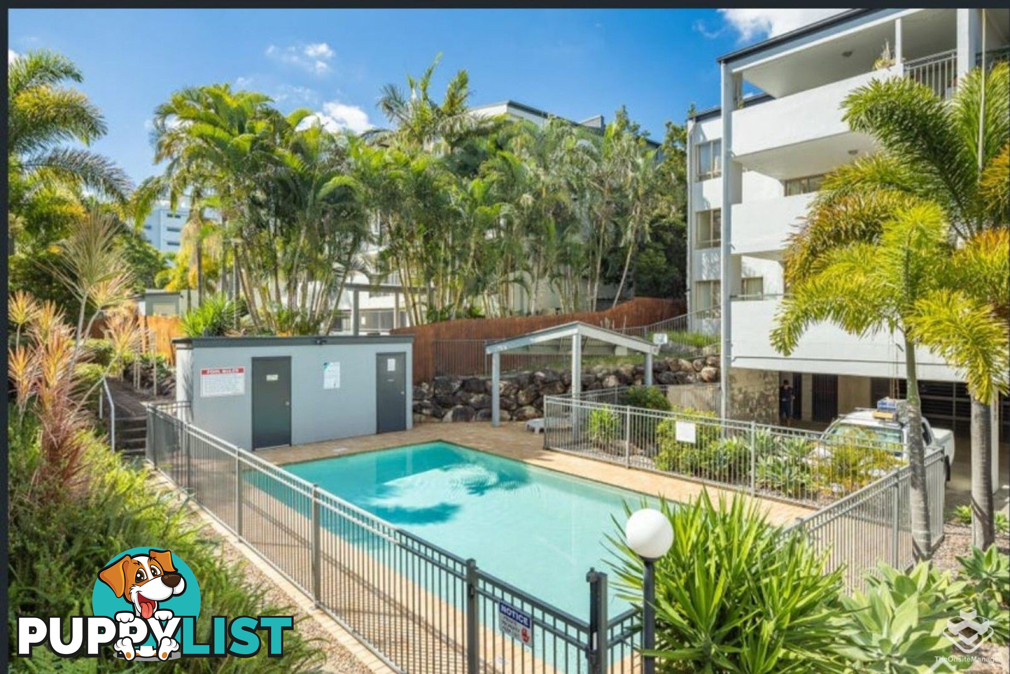 ID:21154130 8 Mascar Street Upper Mount Gravatt QLD 4122