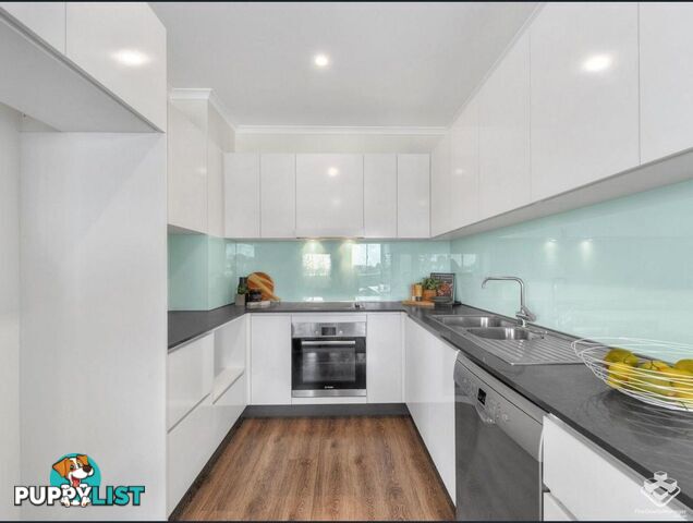 ID:21139738/986 Wynnum Road Cannon Hill QLD 4170