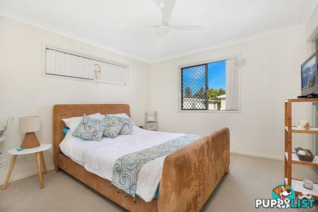 50 2 Photinia Crescent Mountain Creek QLD 4557