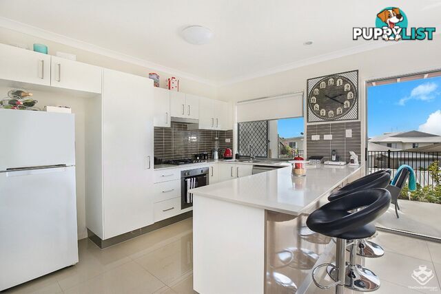 50 2 Photinia Crescent Mountain Creek QLD 4557