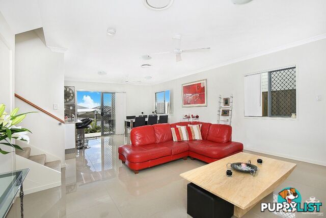 50 2 Photinia Crescent Mountain Creek QLD 4557