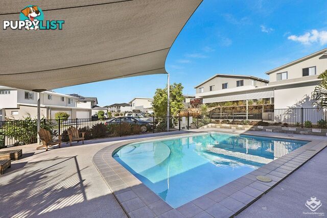 50 2 Photinia Crescent Mountain Creek QLD 4557