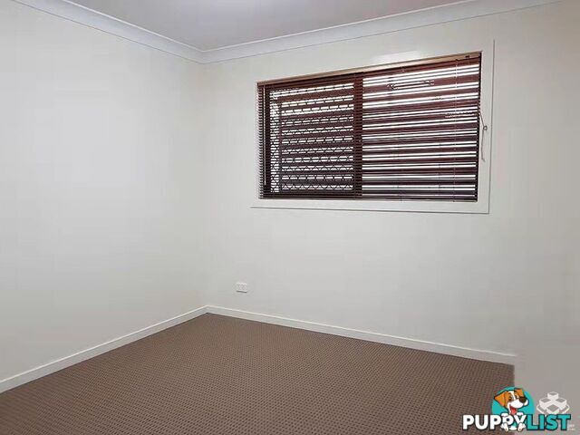 ID:21156925 35 Jaffa Crescent Calamvale QLD 4116