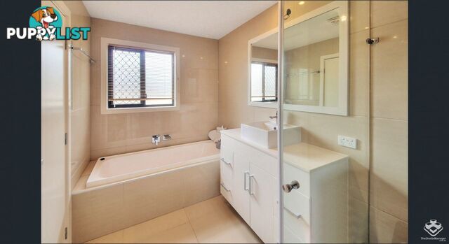 ID:21156925 35 Jaffa Crescent Calamvale QLD 4116