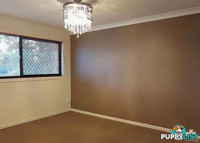 ID:21156925 35 Jaffa Crescent Calamvale QLD 4116