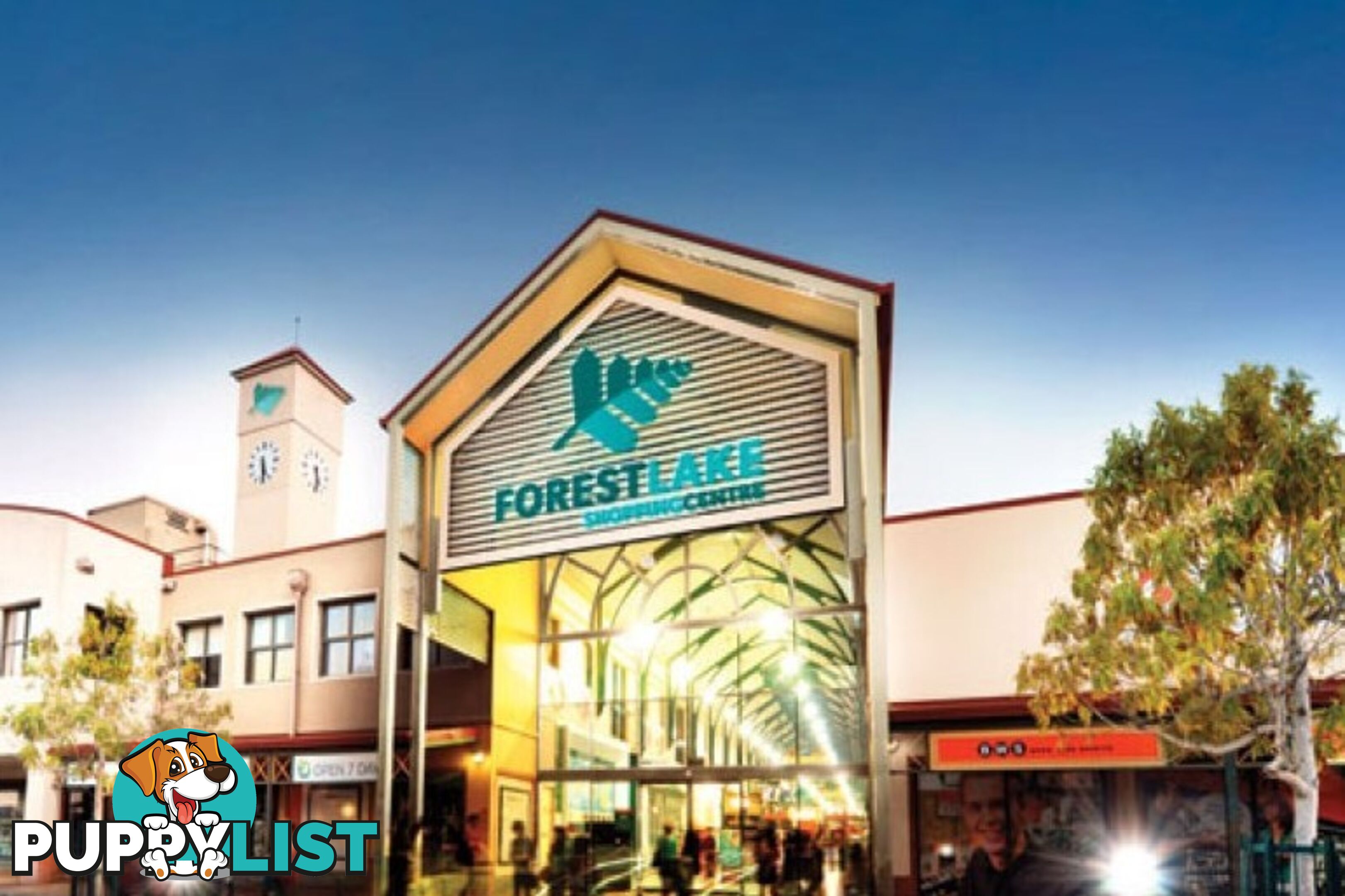 U32/12 Dasheng Doolandella QLD 4077
