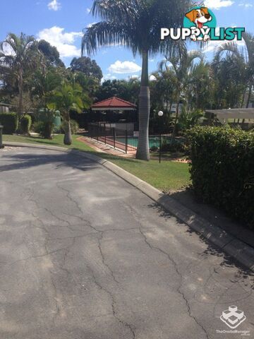 ID:3849292 27 27 Epala Street Carina QLD 4152