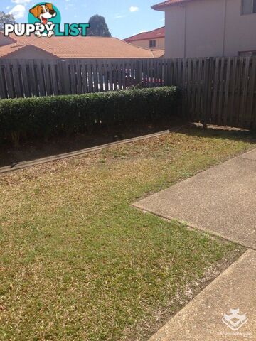 ID:3849292 27 27 Epala Street Carina QLD 4152