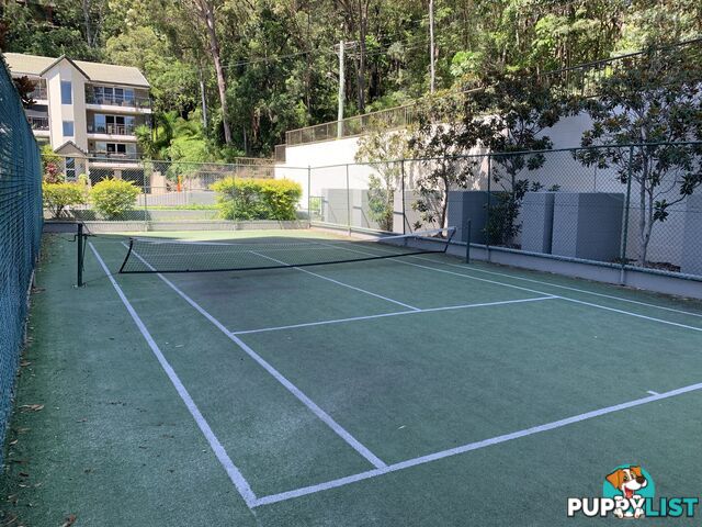 ID:21072596 29 Hill Avenue Burleigh Heads QLD 4220
