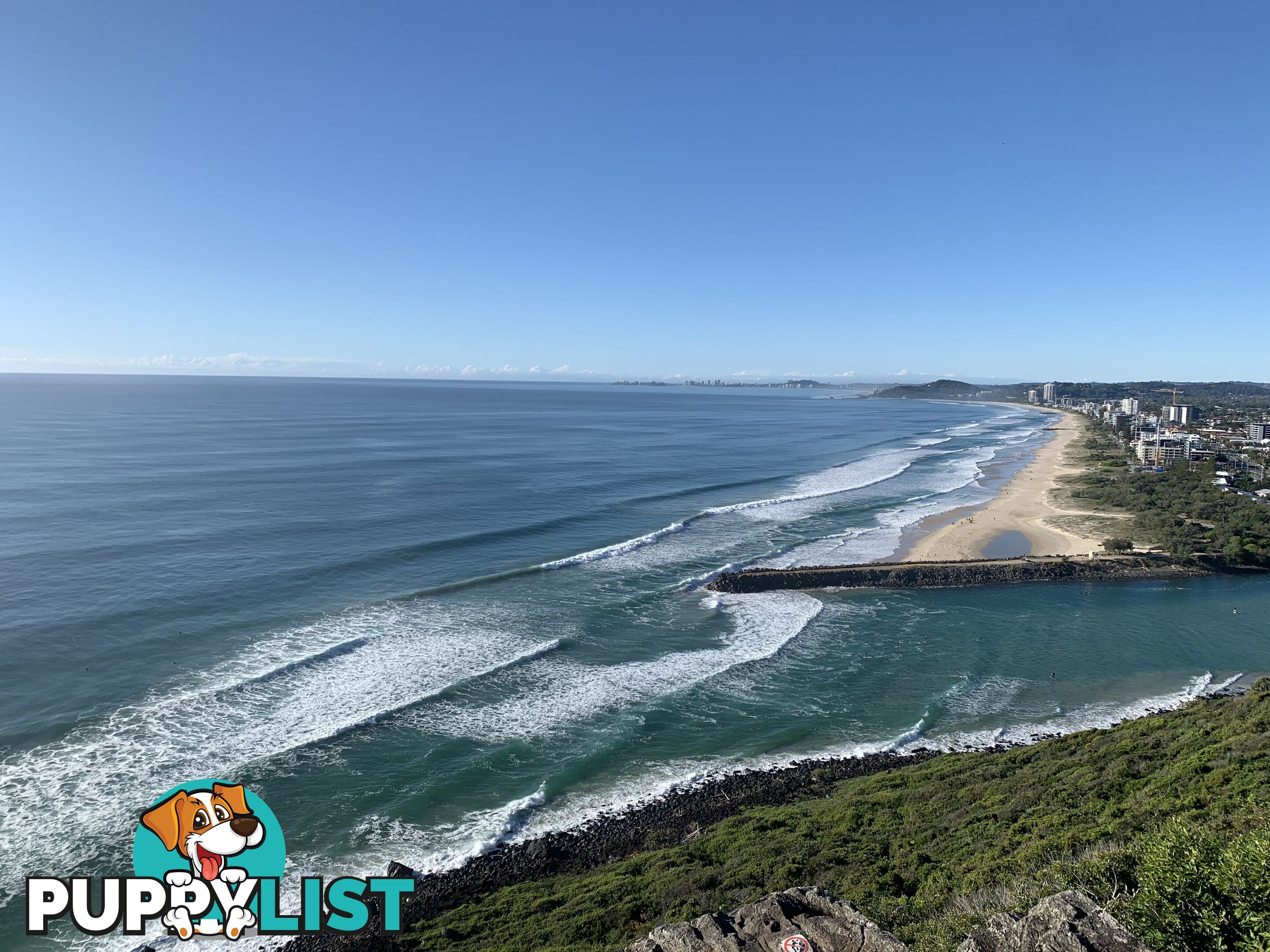 ID:21072596 29 Hill Avenue Burleigh Heads QLD 4220