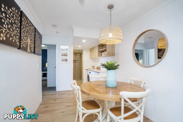 ID:21072596 29 Hill Avenue Burleigh Heads QLD 4220