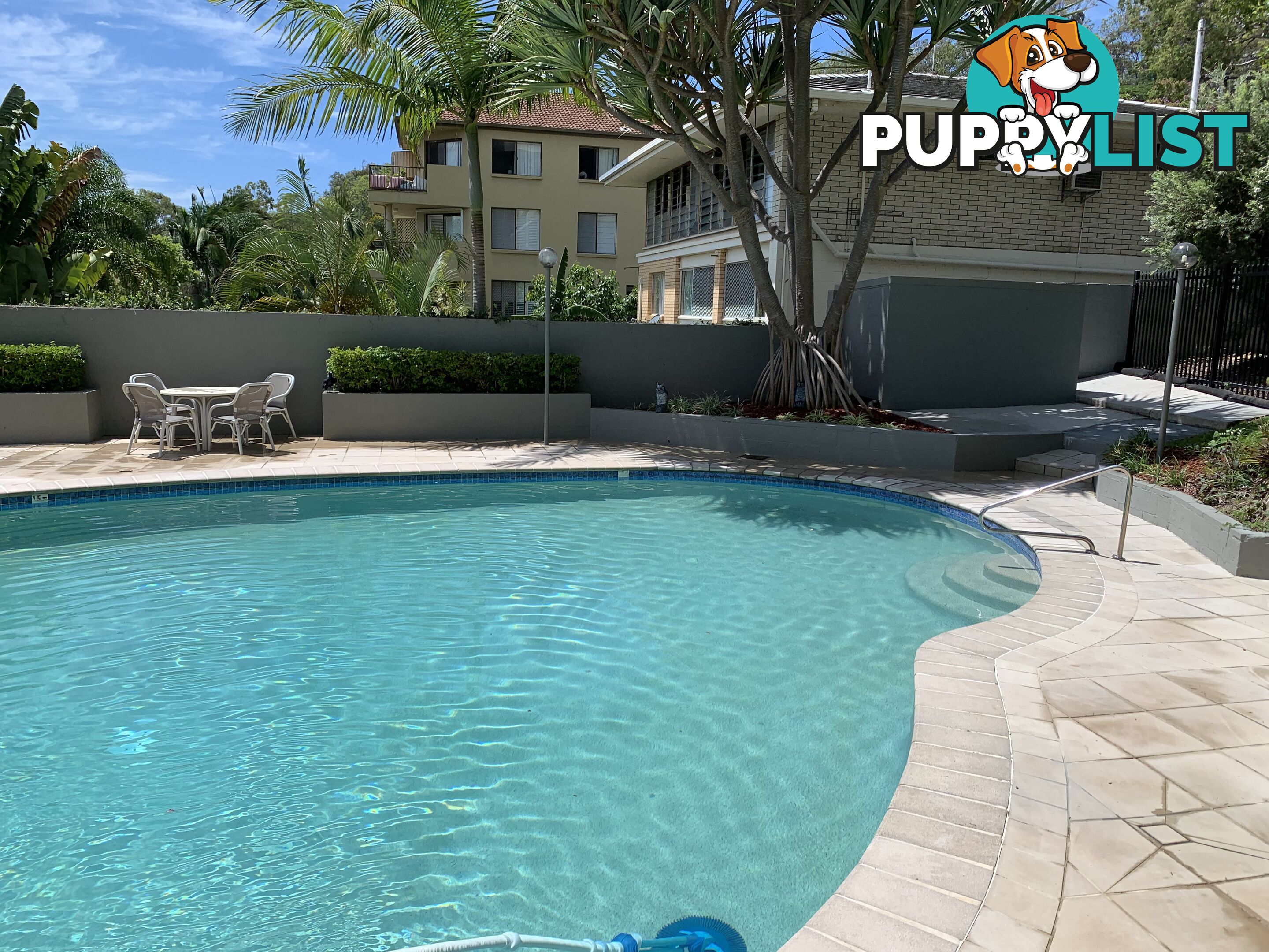 ID:21072596 29 Hill Avenue Burleigh Heads QLD 4220