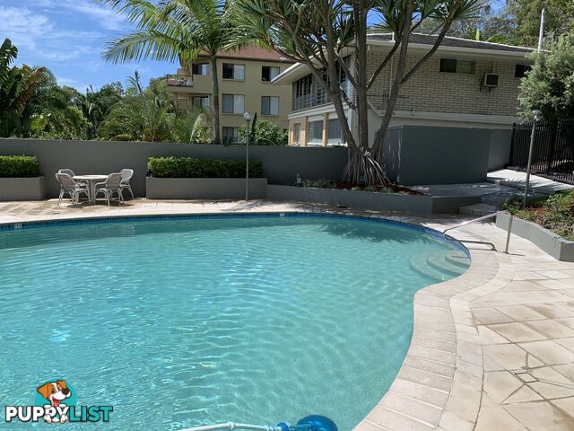 ID:21072596 29 Hill Avenue Burleigh Heads QLD 4220