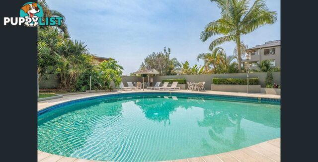 ID:21072596 29 Hill Avenue Burleigh Heads QLD 4220