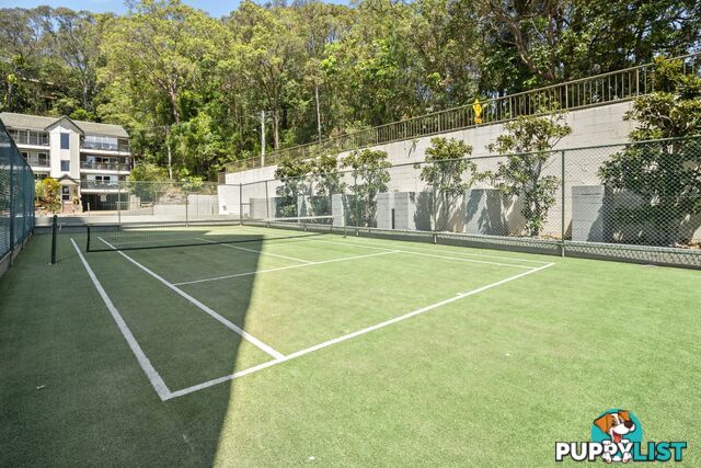 ID:21072596 29 Hill Avenue Burleigh Heads QLD 4220