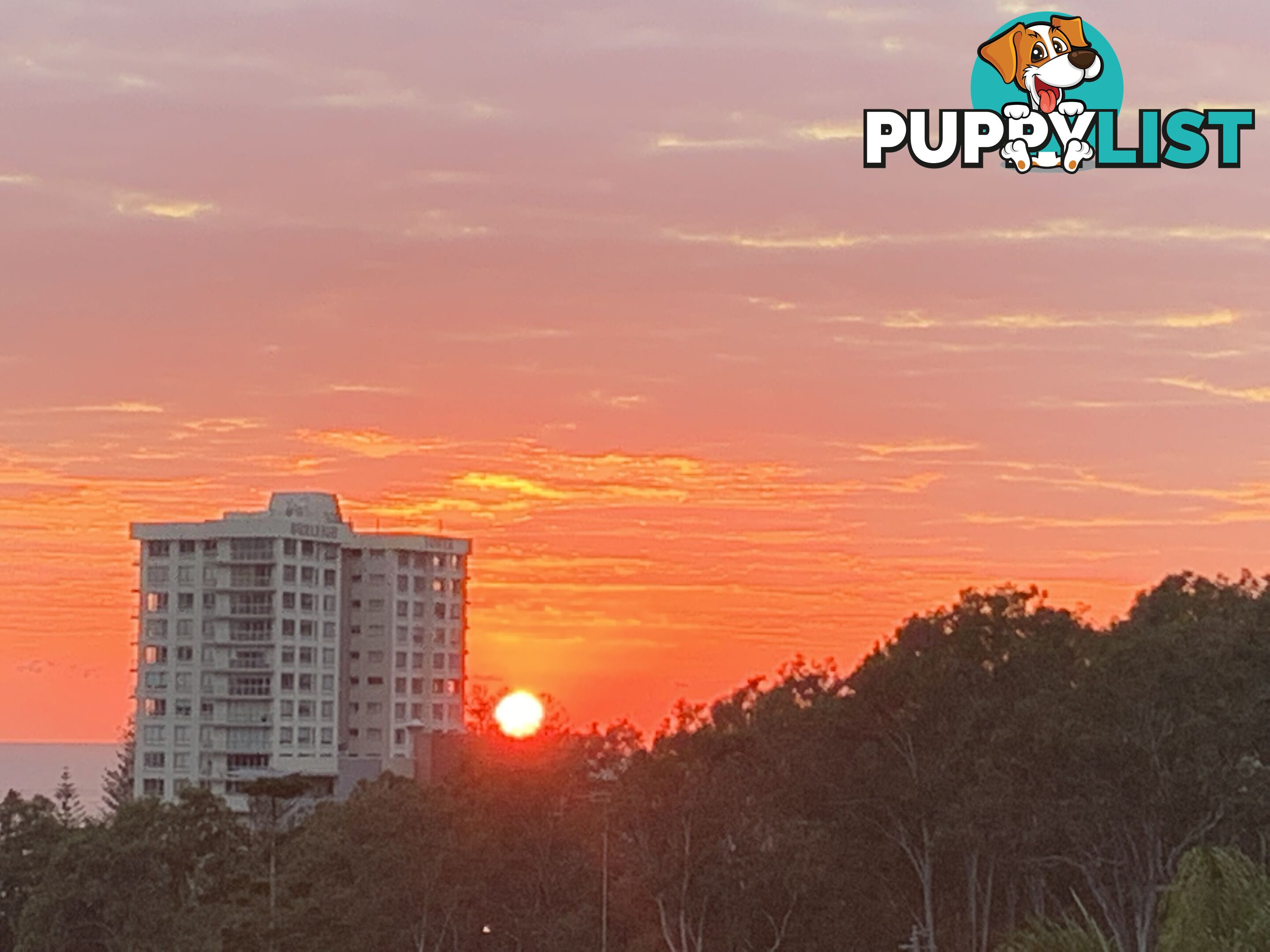 ID:21072596 29 Hill Avenue Burleigh Heads QLD 4220
