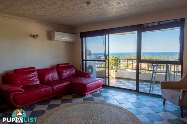 ID:21072596 29 Hill Avenue Burleigh Heads QLD 4220