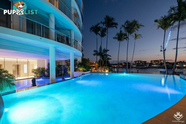 ID:21146622 40 Riverview Parade Surfers Paradise QLD 4217